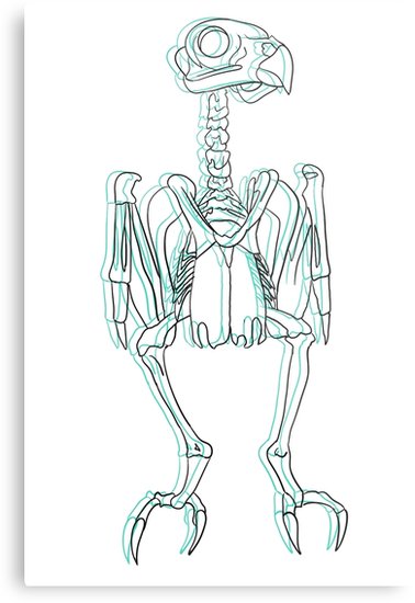 378x550 Owl Skeleton Metal Print - Owl Skeleton Drawing