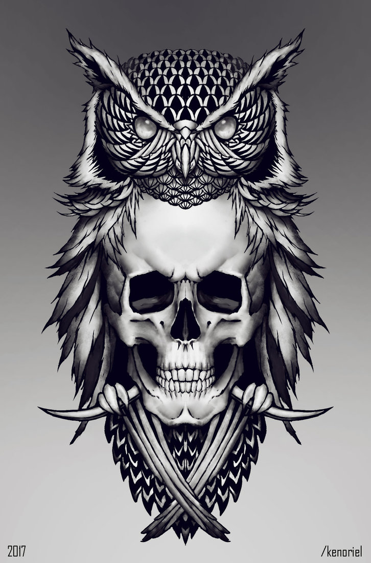 Skull Drawing Owl Fo. 