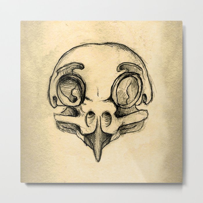 700x700 Owl Skull Metal Print - Owl Skull Drawing