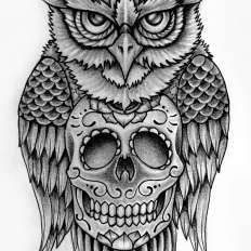 232x232 Owl Sugar Skull Drawing - Owl Skull Drawing