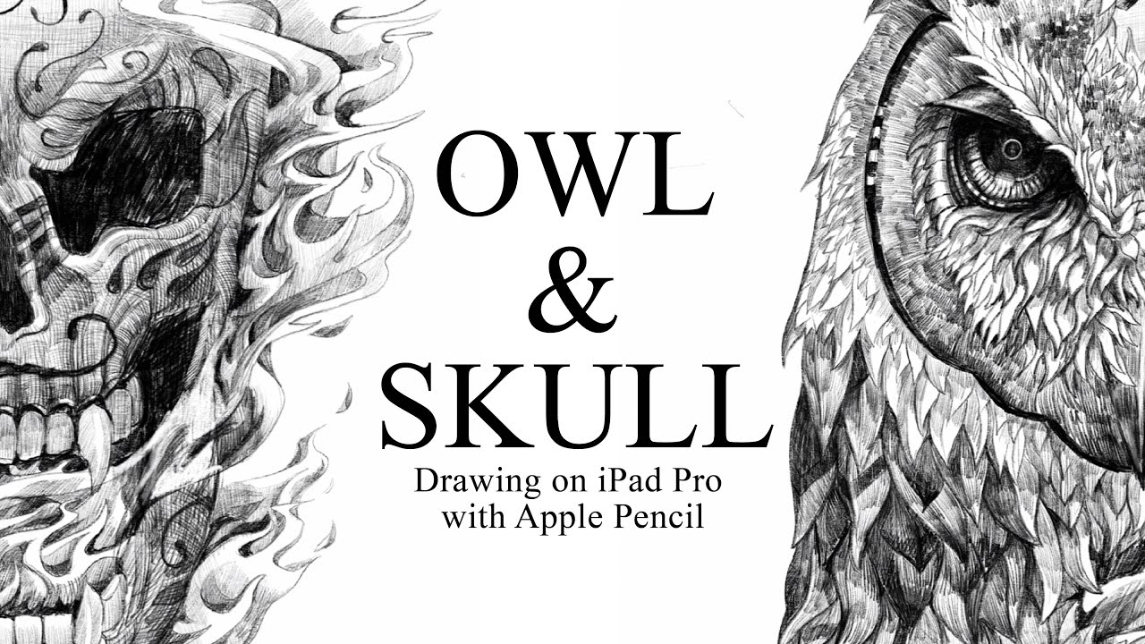 1280x720 Owl Skull Drawing On Ipad Pro With Apple Pencil - Owl Skull Drawing