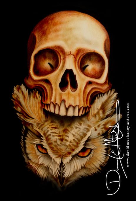 462x681 Owl And Skull Drawing - Owl Skull Drawing