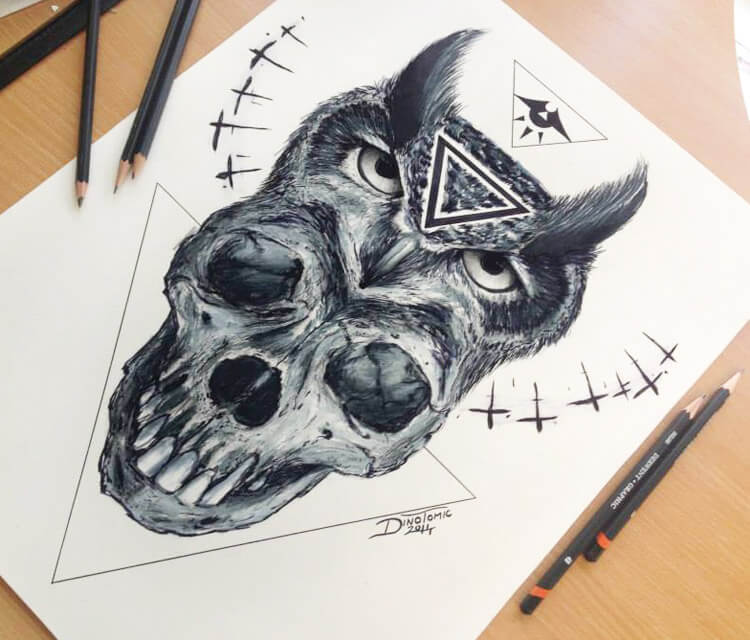 750x640 Skull And Owl Sketch - Owl Skull Drawing