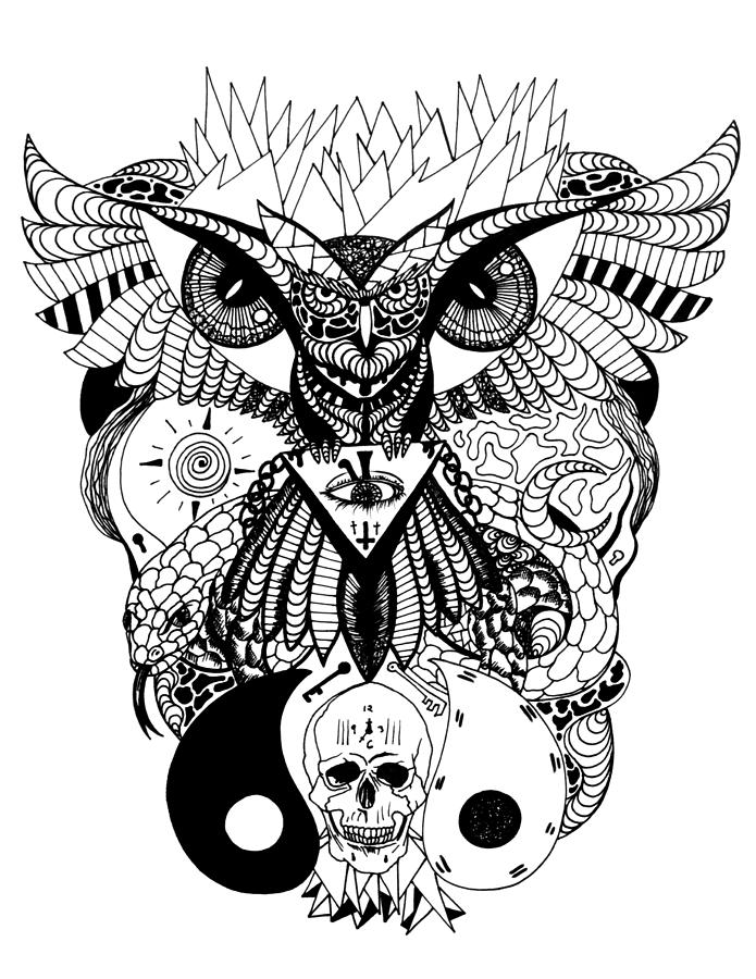 695x900 Wise Owl And The Ageless Skull Drawing - Owl Skull Drawing