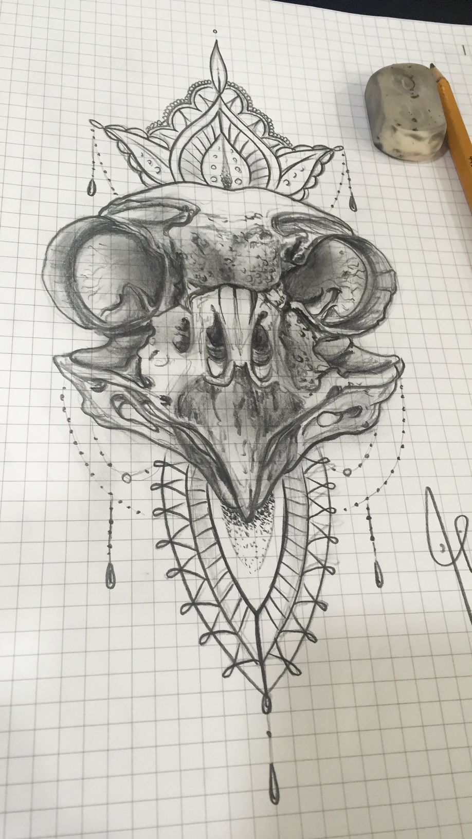 918x1632 Alexbreak Owl's Skull Ornemental Ink Skull Tattoo Design - Owl Skull Drawing