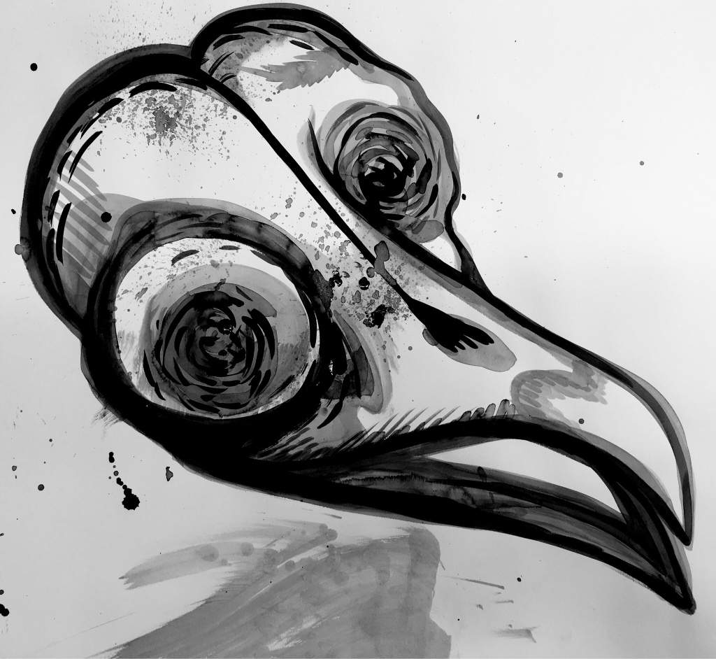 1024x942 barred owl skull doodles and drawings amino - Owl Skull Drawing