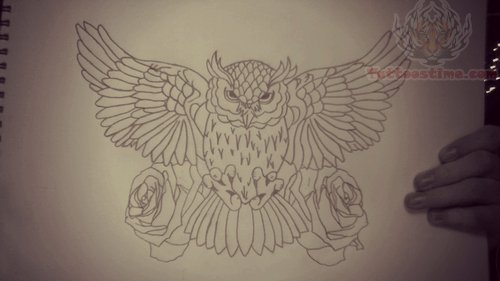 500x281 Owl Tattoo Drawing - Owl Tattoo Drawing