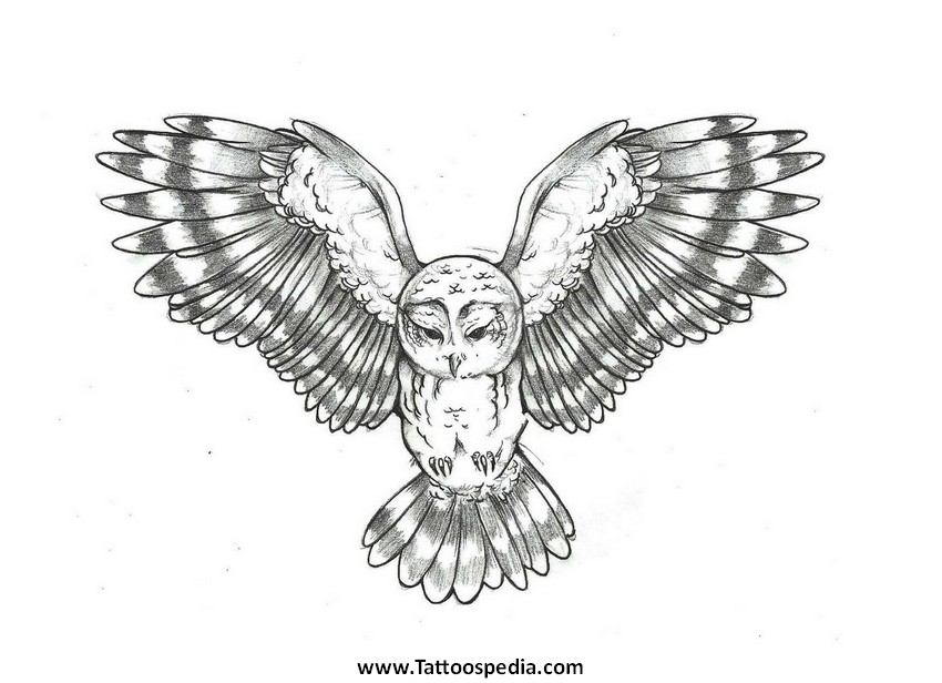 850x616 Owl Tattoo Sketch - Owl Tattoo Drawing