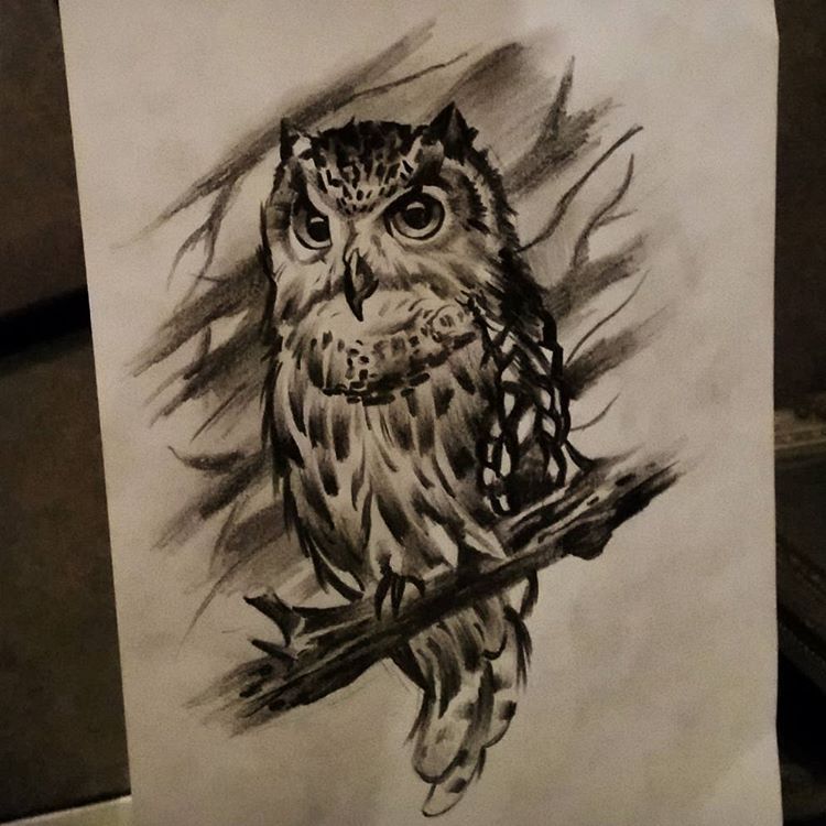 750x750 owl obsession - Owl Tattoo Drawing