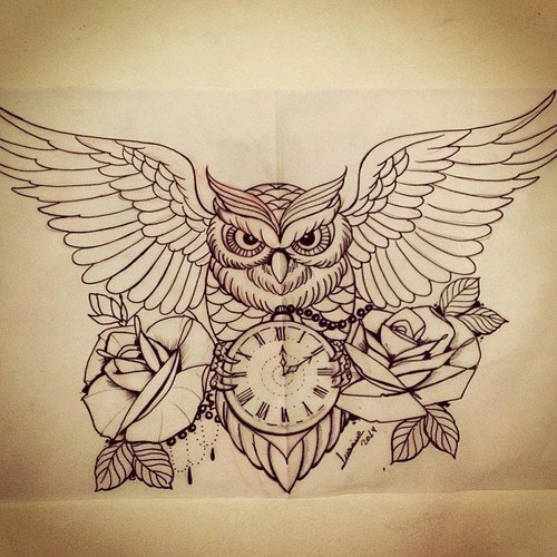 500x500 Owl Drawing Shared - Owl Tattoo Drawing