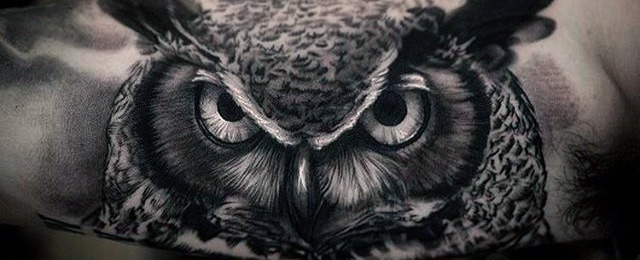 640x260 Realistic Owl Tattoo Designs For Men - Owl Tattoo Drawing