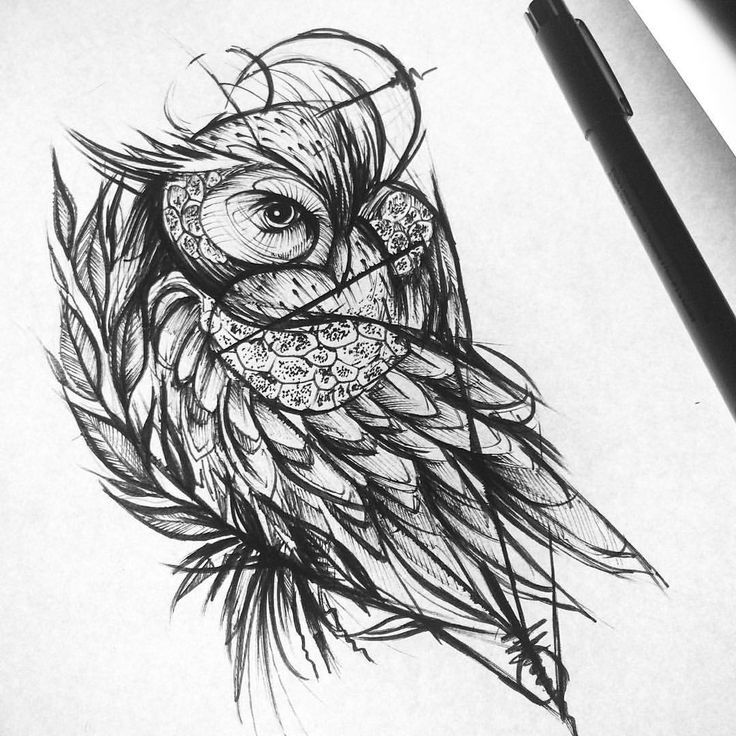 736x736 hamsa drawing owl for free download - Owl Tattoo Line Drawing