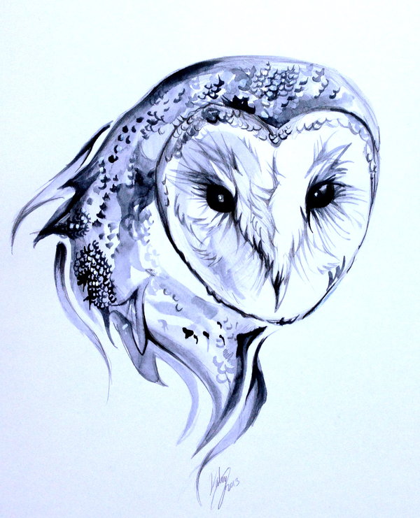 600x741 Grey White Barn Owl Tattoo Design - Owl Tattoo Line Drawing