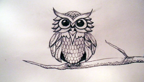 500x288 My Owl Tattoo - Owl Tattoo Line Drawing