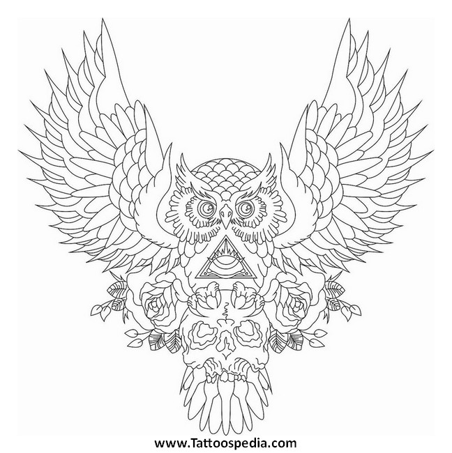 Owl Tattoo Line Drawing at PaintingValley.com | Explore collection of ...