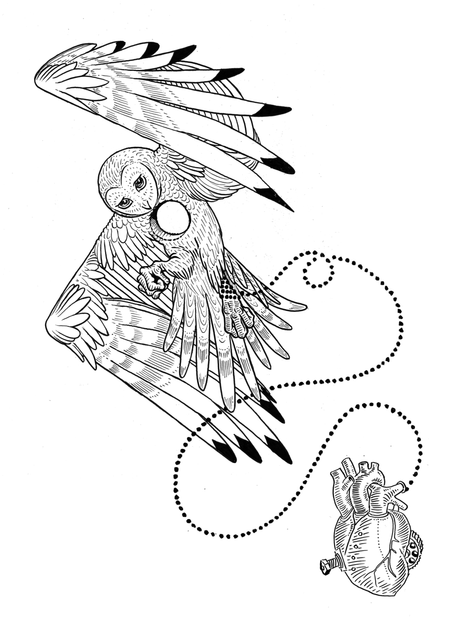 931x1280 owl tattoo line drawing at com free for personal us on owl tattoo - Owl Tattoo Line Drawing