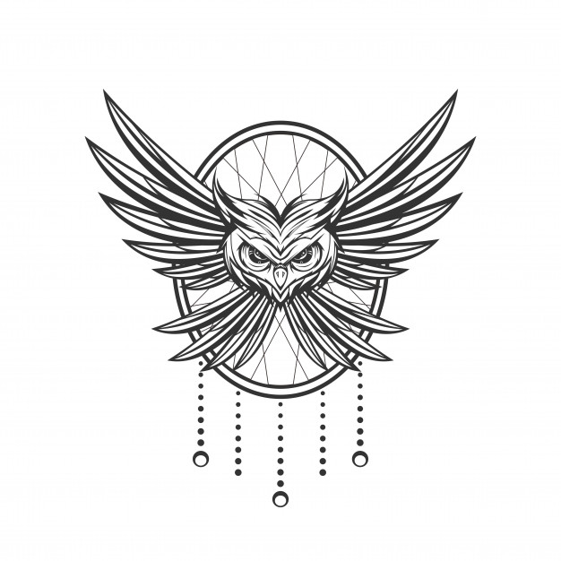 626x626 Owl Tattoo Vectors, Photos And Free Download - Owl Tattoo Line Drawing