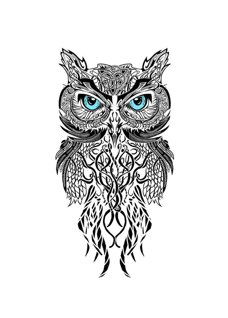 736x1029 Owl Tattoos - Owl Tattoo Line Drawing