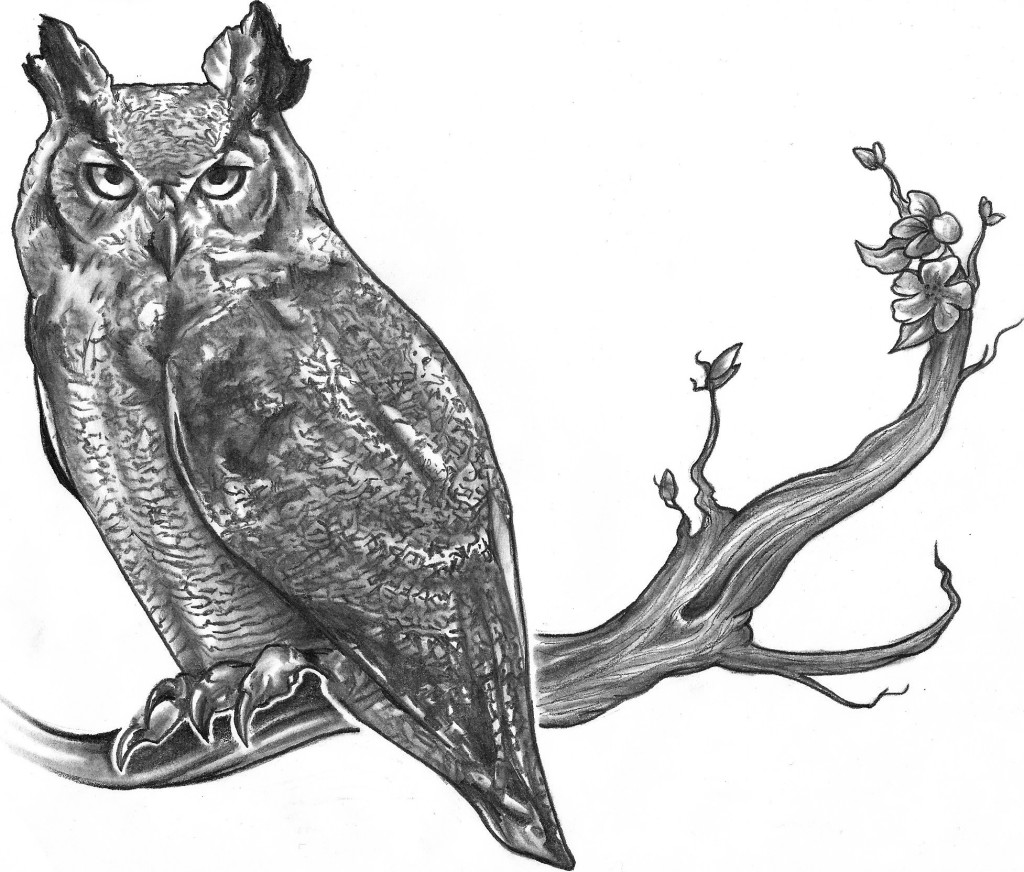 1024x872 Best Owl Tattoo Designs Gallery - Owl Tattoo Line Drawing