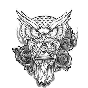 Owl Tattoo Line Drawing At Paintingvalley Com Explore Collection