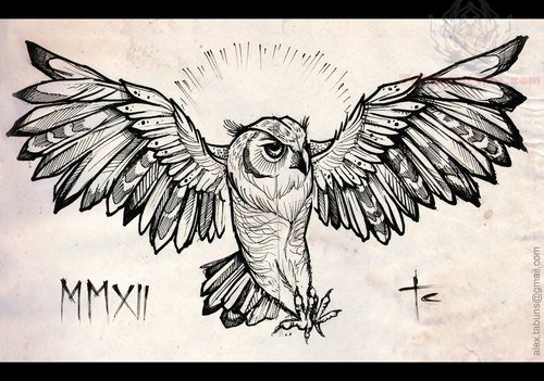 Owl Wings Drawing at PaintingValley.com | Explore collection of Owl ...