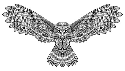 420x240 owl photos, royalty free images, graphics, vectors videos - Owl Wings Drawing