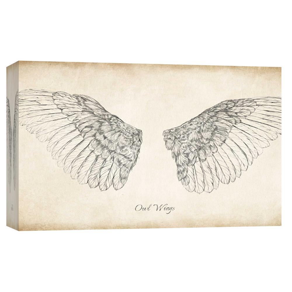 1000x1000 Ptm Images In X In ''owl Wings'' Printed Canvas Wall Art - Owl Wings Drawing