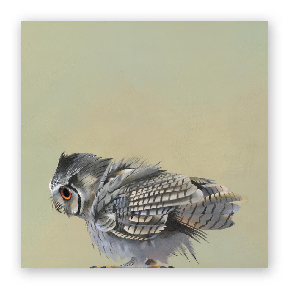 972x972 x scops owl wings on wood decor the mincing mockingbird - Owl Wings Drawing
