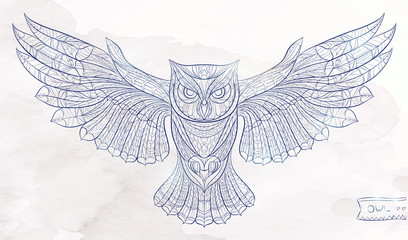 408x240 Search Photos Category Animals Gt Birds Gt Owls - Owl Wings Drawing