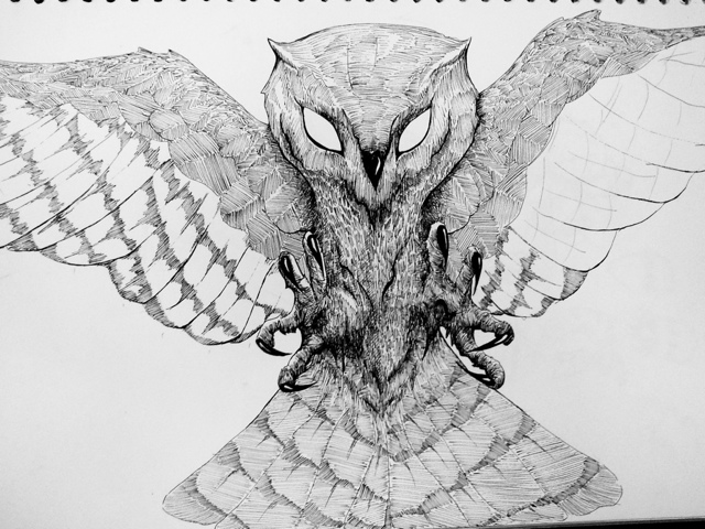 640x480 those sure are large wings desksketch - Owl Wings Drawing