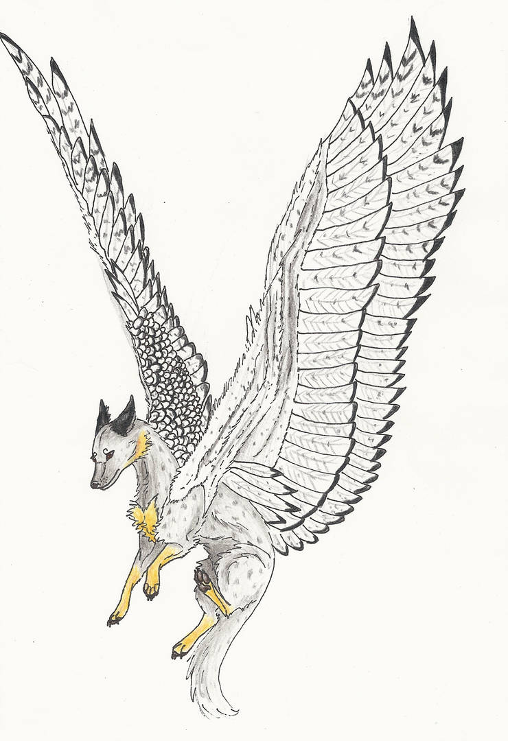 740x1080 trigger with snowy owl wings - Owl Wings Drawing