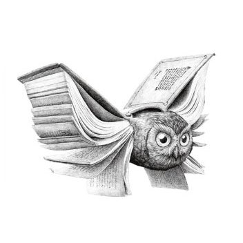 352x352 Oottati Book Owl Wings Holographic Sketch Arm - Owl Wings Drawing