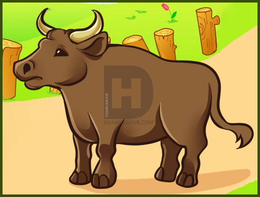 515x390 How To Draw An Ox, Step - Ox Drawing