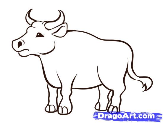 551x415 How To Draw An Ox, Step - Ox Drawing