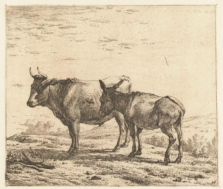 900x763 Ox And Donkey, Karel Dujardin Drawing - Ox Drawing