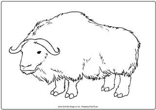 320x226 Ox Printables - Ox Drawing