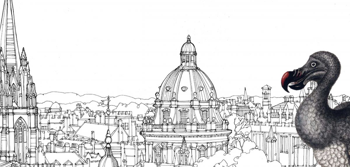 1200x575 Why Do We Still Talk About The Dodo University Of Oxford - Oxford Drawing