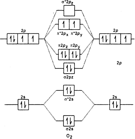 458x470 draw the molecular orbital energy diagram for oxygen molecule - Oxygen Atom Drawing