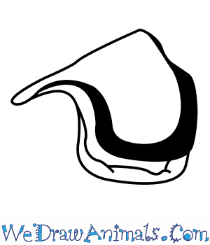 300x350 how to draw an oyster - Oyster Drawing