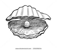 240x210 image result for drawing of oyster with pearl coral reef - Oyster Drawing