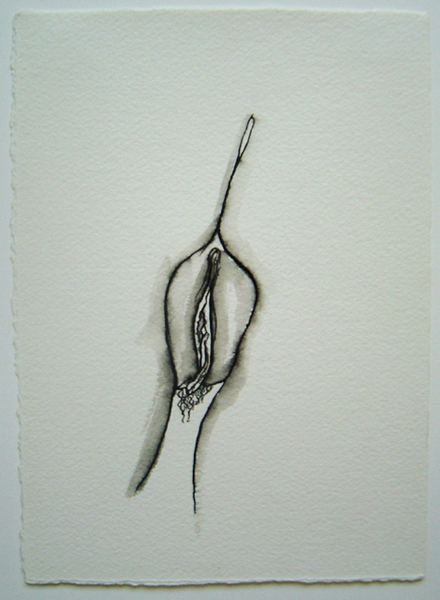 440x600 oyster bar stewart fletcher studios - Oyster Drawing