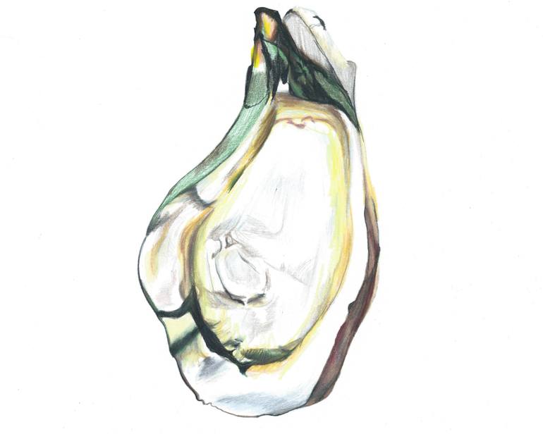 770x616 oyster drawing - Oyster Drawing