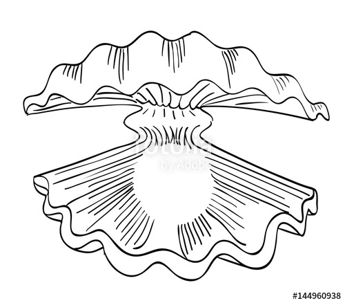 500x438 cartoon image of oyster with pearl an artistic freehand picture - Oyster Drawing Cartoon