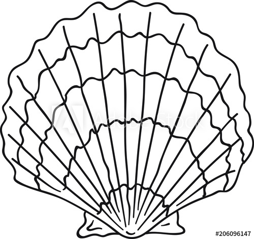 500x471 hand drawn doodle sketch line art vector illustration of oyster - Oyster Drawing Cartoon