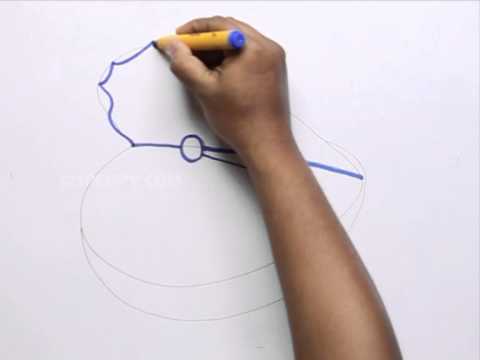 480x360 how to draw a cartoon oyster - Oyster Drawing Cartoon