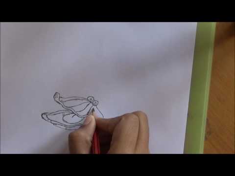 480x360 how to draw an oyster - Oyster Drawing Cartoon