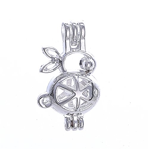 500x500 rabbit pearl cage bright silver beads cage locket pendant - Oyster Pearl Drawing