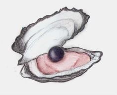 236x191 best pearl oyster tattoo ideas images pearl tattoo, conchas - Oyster Pearl Drawing