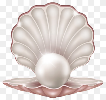 360x340 oyster seashell clam mussel drawing cc0 - Oyster Pearl Drawing