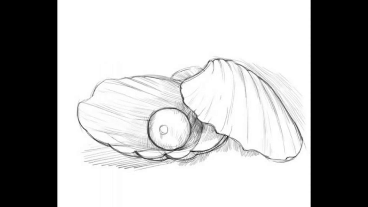 1280x720 pearls drawing free download - Oyster Pearl Drawing